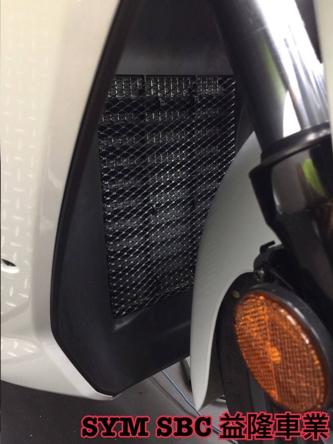 三陽 CRUISYM 300 水箱防護網 500＊『益隆車業』＊【SYM經銷商 】   